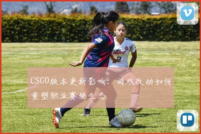 CSGO版本更新影响：游戏改动如何重塑职业赛场生态